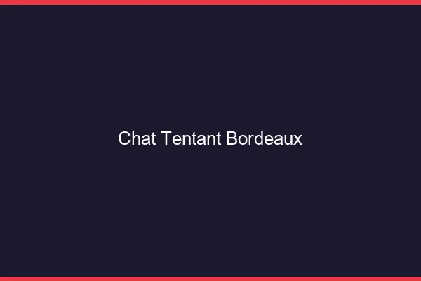 Chat Tentant Bordeaux