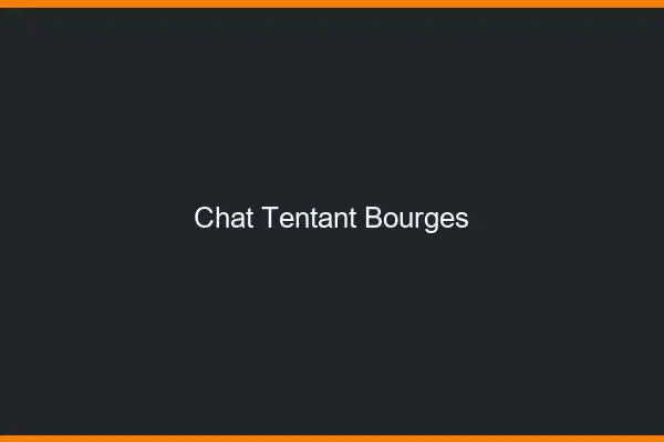 Chat Tentant Bourges