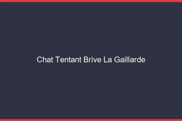 Chat Tentant Brive-la-Gaillarde