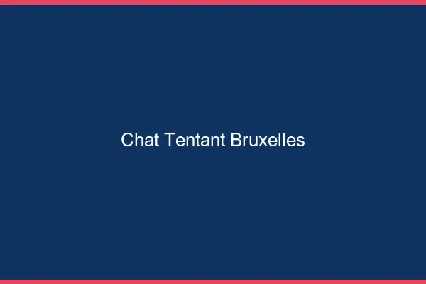 Chat Tentant Bruxelles