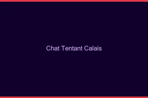 Chat Tentant Calais