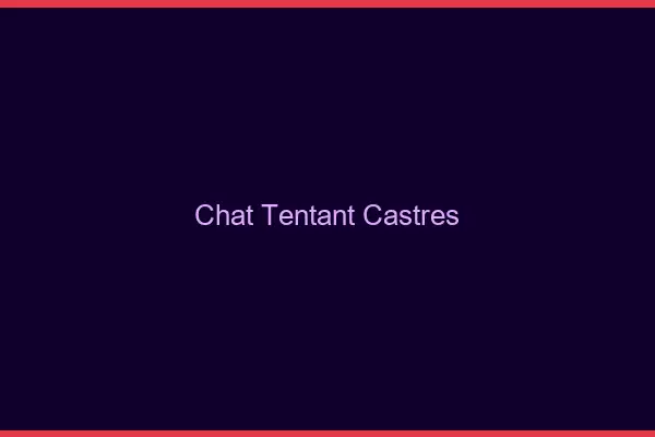 Chat Tentant Castres