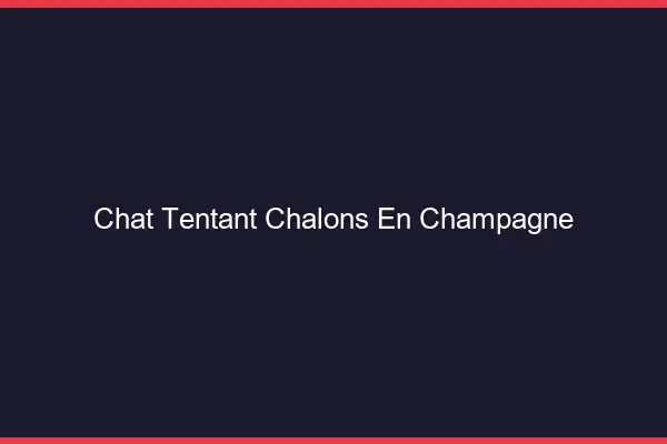 Chat Tentant Châlons-en-Champagne