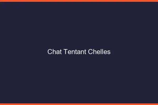 Chat Tentant Chelles