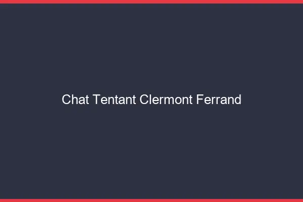 Chat Tentant Clermont-Ferrand