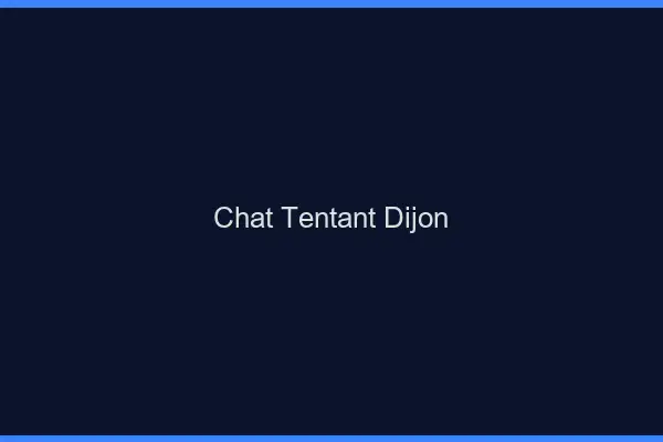 Chat Tentant Dijon