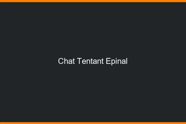 Chat Tentant Épinal