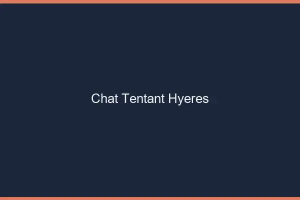 Chat Tentant Hyères