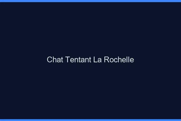 Chat Tentant La Rochelle