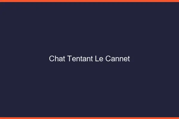 Chat Tentant Le Cannet