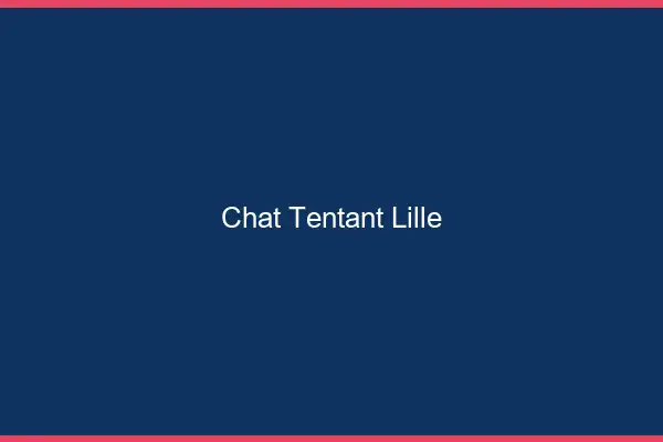 Chat Tentant Lille