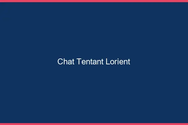 Chat Tentant Lorient