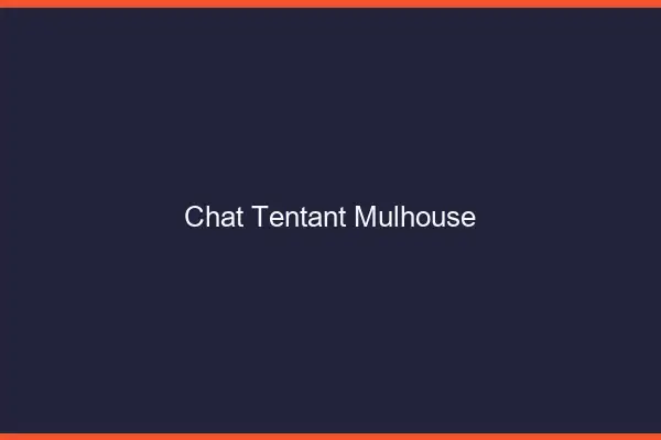 Chat Tentant Mulhouse