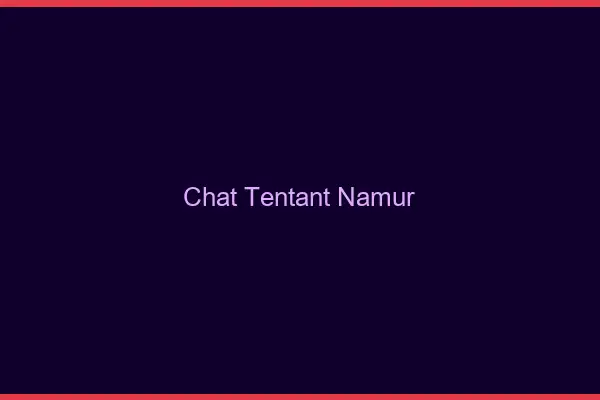 Chat Tentant Namur