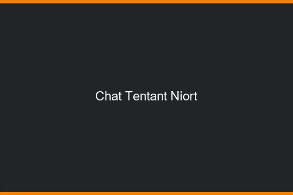 Chat Tentant Niort