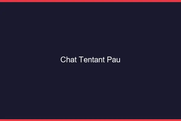 Chat Tentant Pau