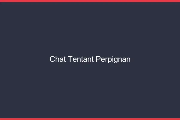 Chat Tentant Perpignan