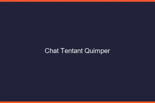 Chat Tentant Quimper