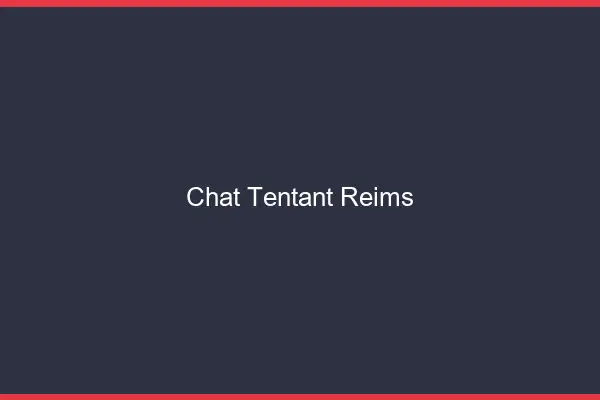 Chat Tentant Reims