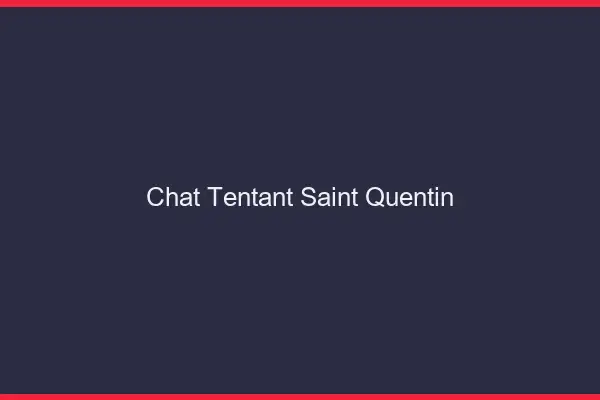 Chat Tentant Saint-Quentin