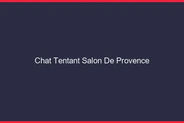 Chat Tentant Salon-de-Provence