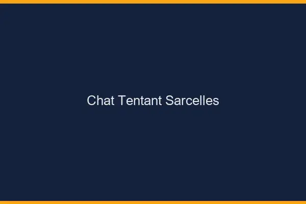 Chat Tentant Sarcelles