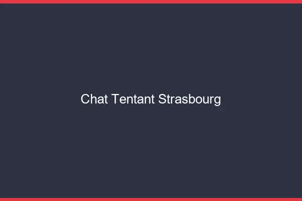 Chat Tentant Strasbourg