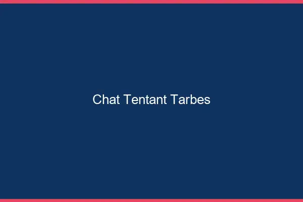 Chat Tentant Tarbes