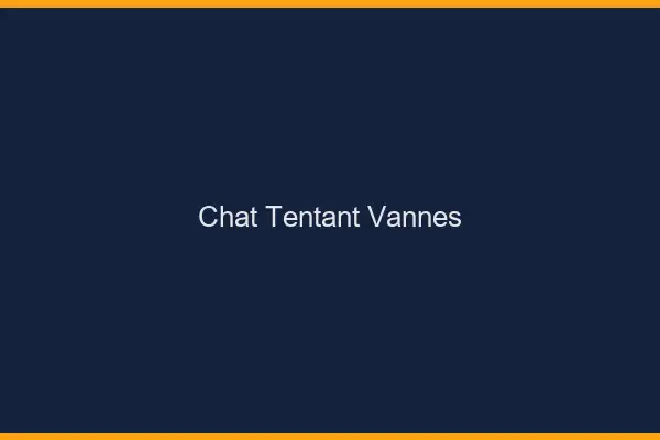Chat Tentant Vannes