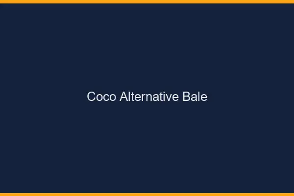 Coco Alternative Bâle
