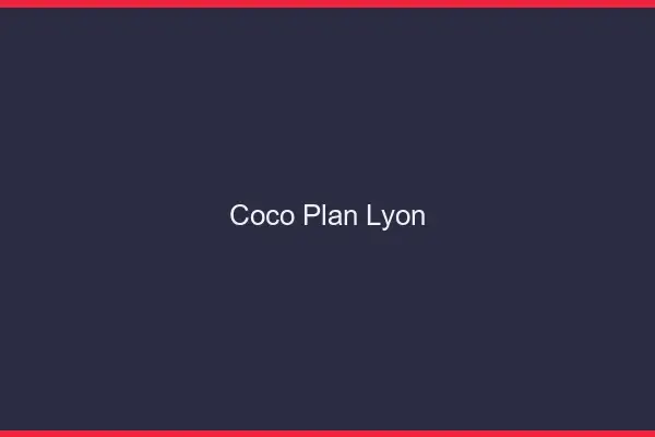 Coco Plan Lyon