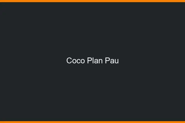 Coco Plan Pau