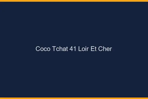 Coco Tchat Loir Et Cher