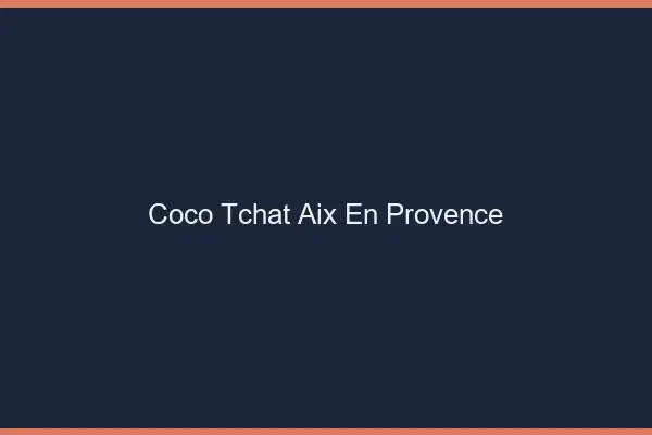 Coco Tchat Aix-en-Provence