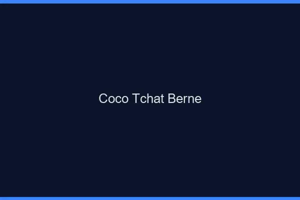 Coco Tchat Berne