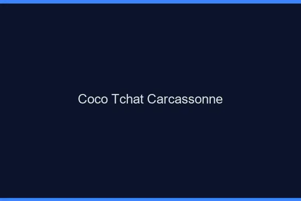 Coco Tchat Carcassonne