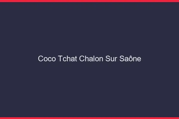 Coco Tchat Chalon-sur-Saône