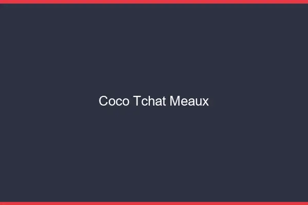 Coco Tchat Meaux