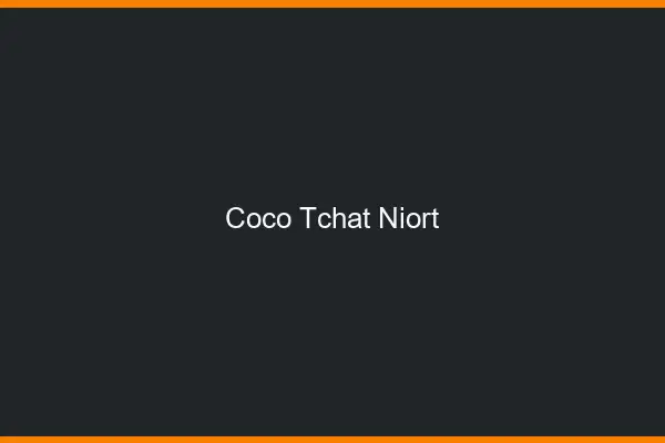 Coco Tchat Niort
