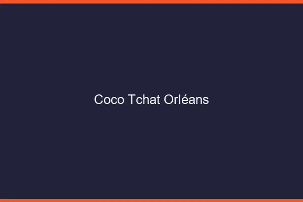 Coco Tchat Orléans