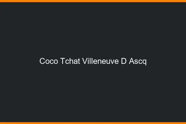 Coco Tchat Villeneuve-d'Ascq