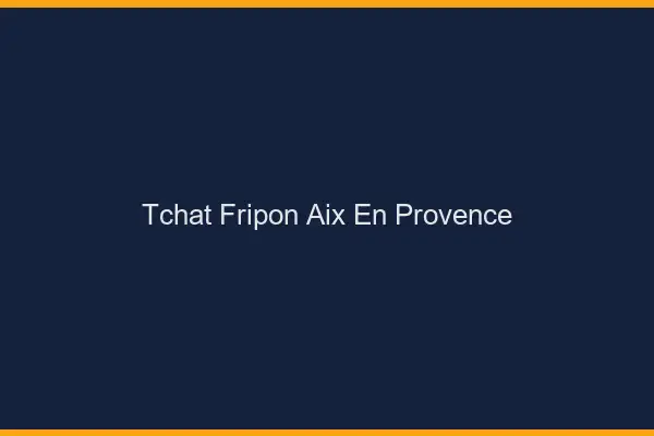 Tchat Fripon Aix-en-Provence