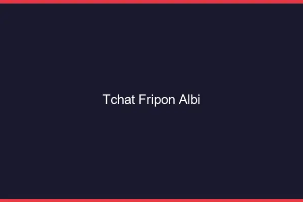 Tchat Fripon Albi