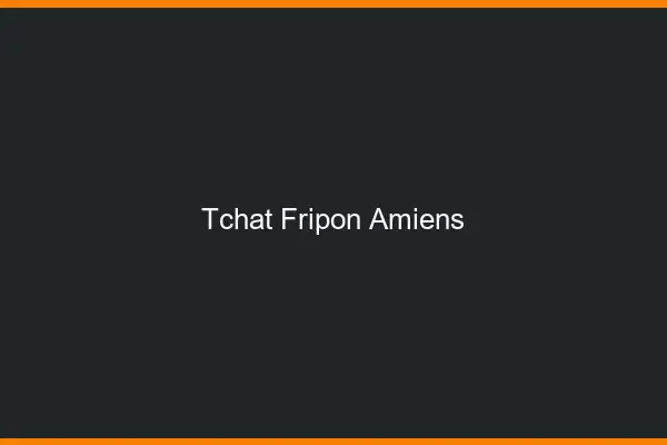 Tchat Fripon Amiens