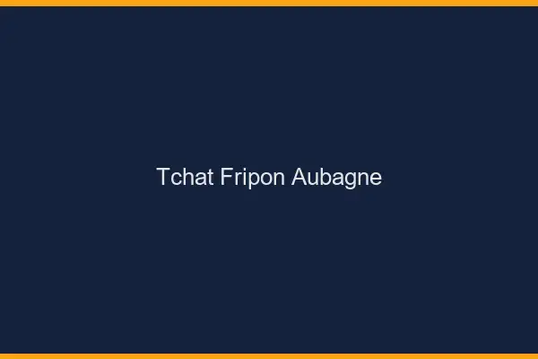 Tchat Fripon Aubagne