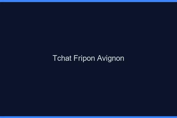 Tchat Fripon Avignon
