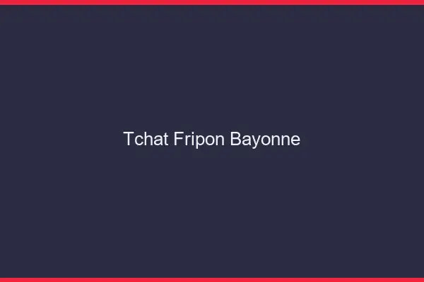 Tchat Fripon Bayonne