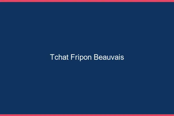 Tchat Fripon Beauvais