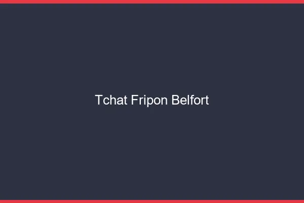 Tchat Fripon Belfort