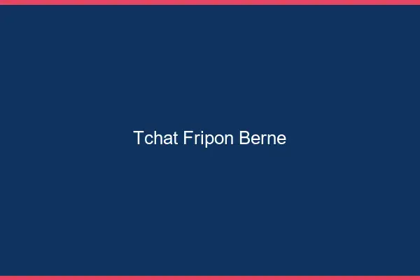 Tchat Fripon Berne